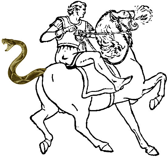 snake
