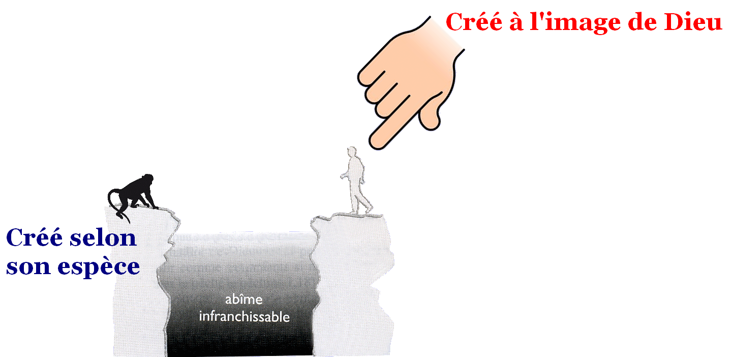 Illustration : barrière infranchissable