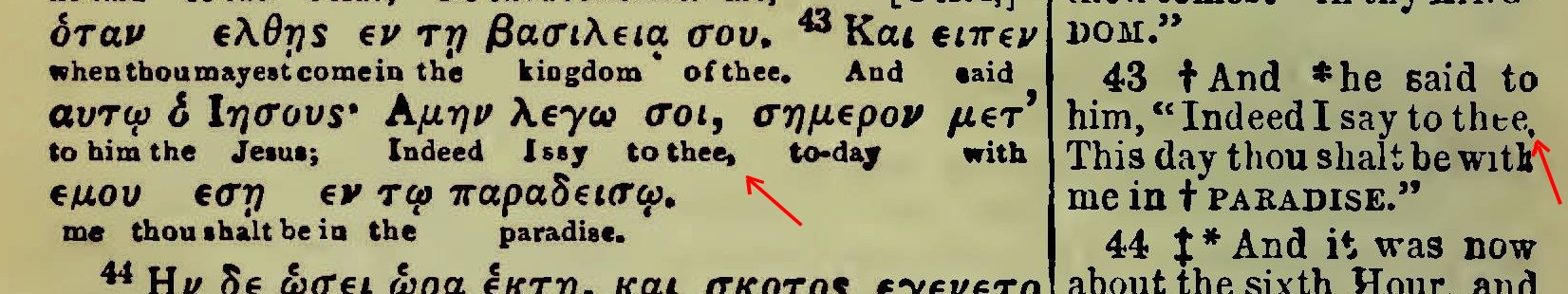 LUC 23-43 diaglott
